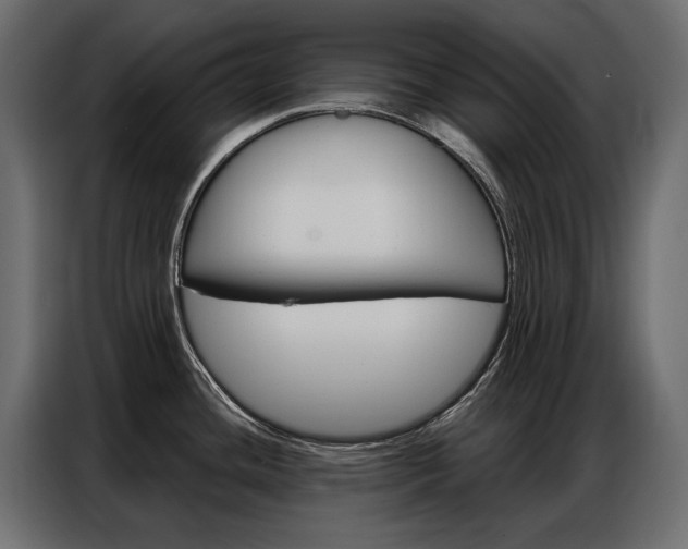 X0000086901436200704160937