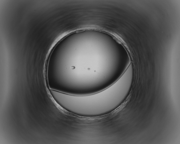 X0000086901438200704160937
