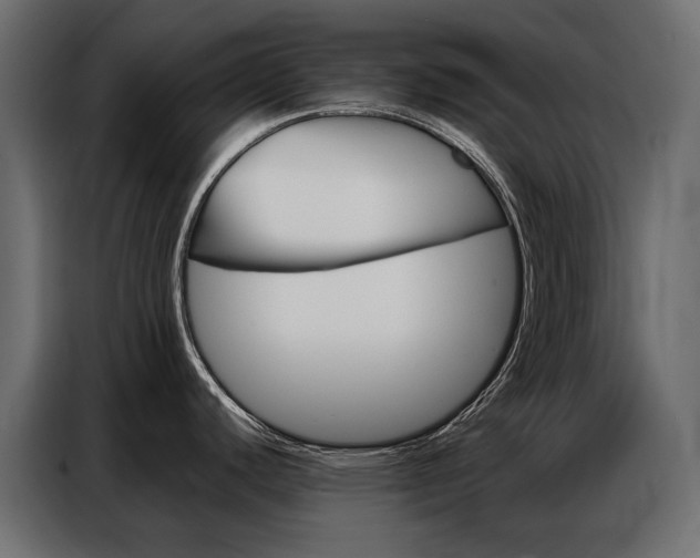 X0000086901440200704160937