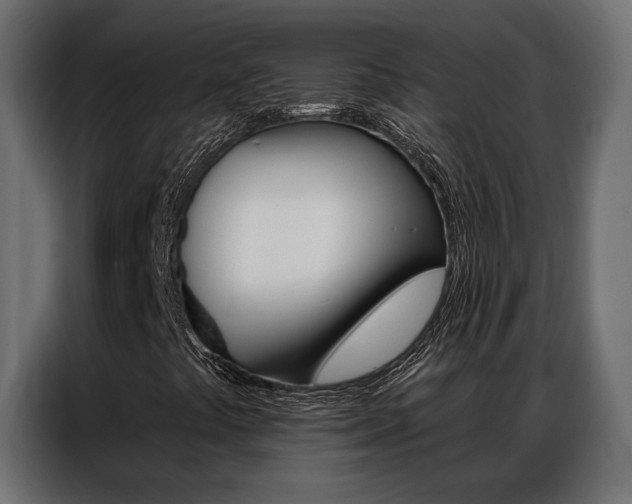 X0000086901441200704160936