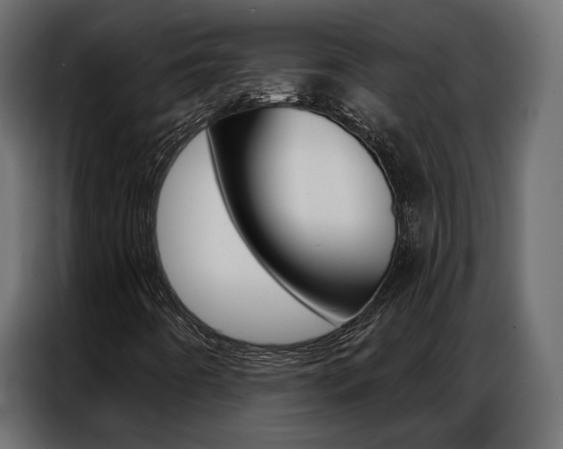 X0000086901442200704160936