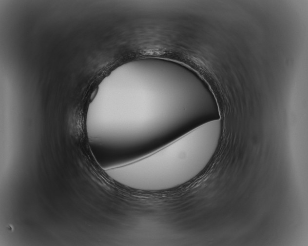 X0000086901444200704160936