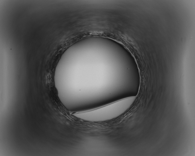 X0000086901445200704160936