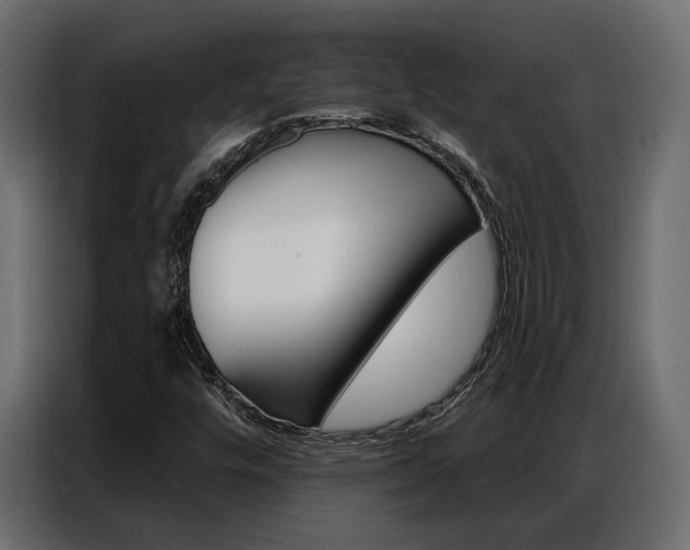 X0000086901448200704160936