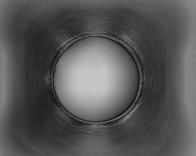 X0000086901449200704160936