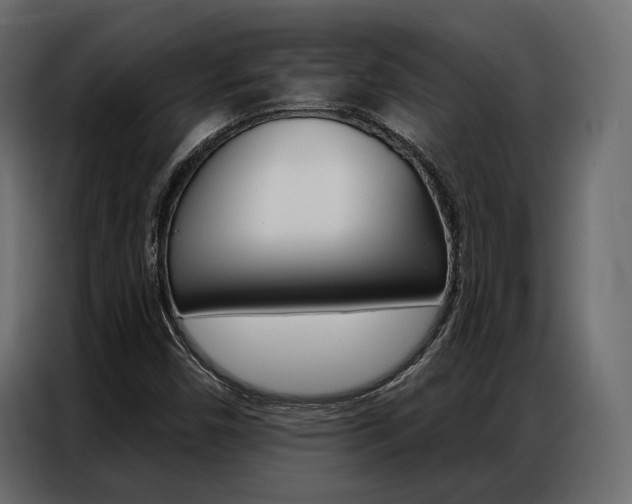 X0000086901450200704160936