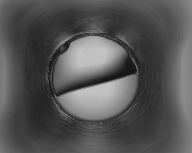 X0000086901452200704160936