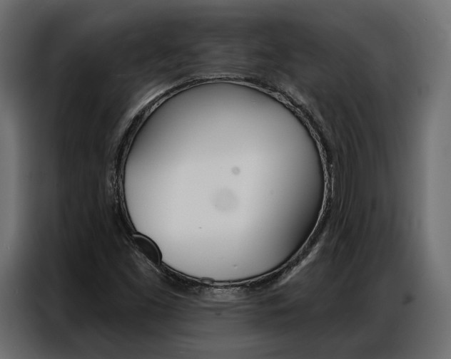 X0000086901453200704160936