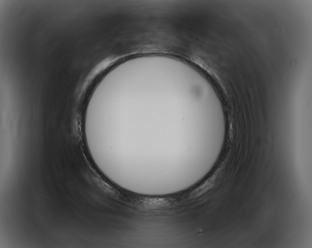 X0000086901454200704160936