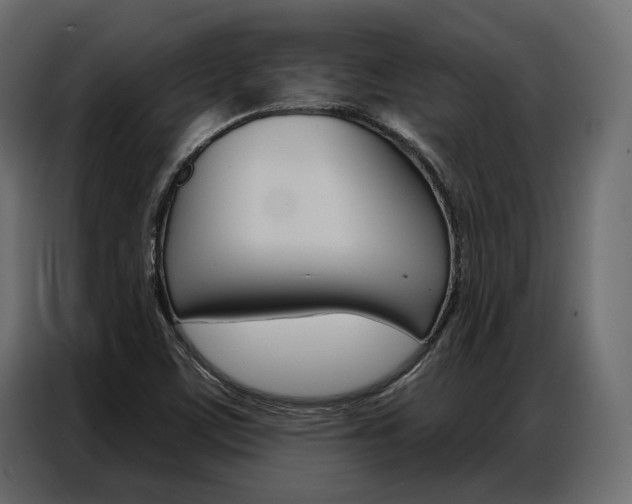 X0000086901459200704160936