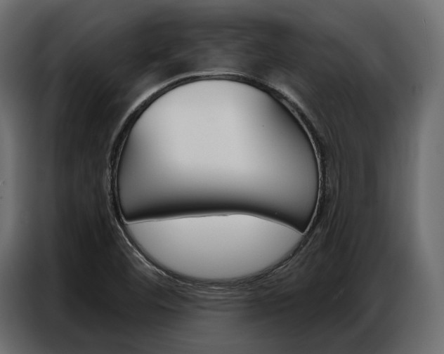 X0000086901460200704160936