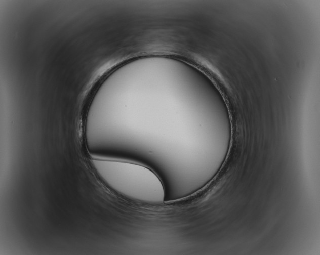 X0000086901461200704160936