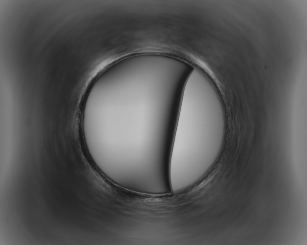 X0000086901463200704160936