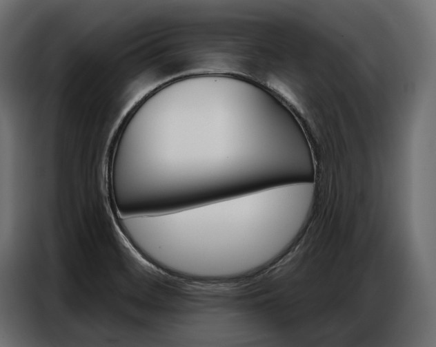 X0000086901468200704160936