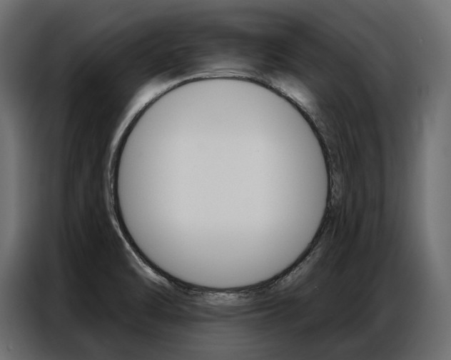 X0000086901470200704160935