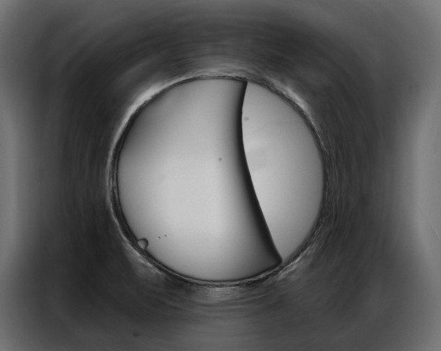 X0000086901471200704160935
