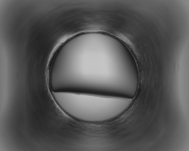 X0000086901472200704160935