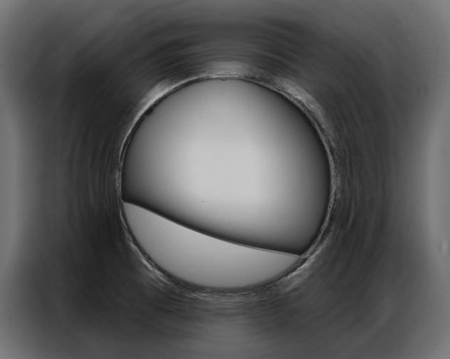 X0000086901473200704160935