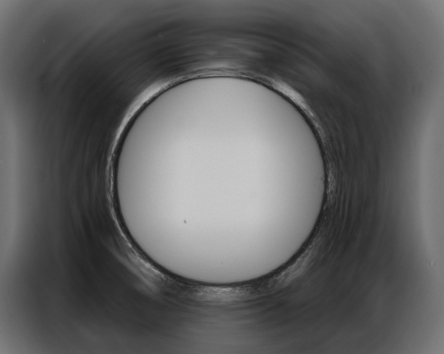 X0000086901474200704160935