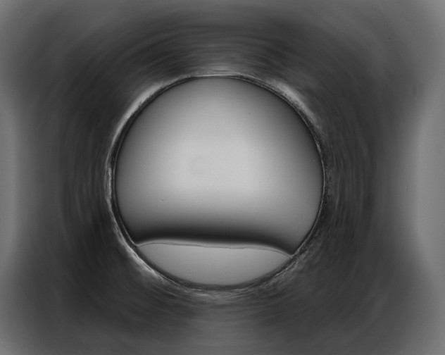 X0000086901476200704160935