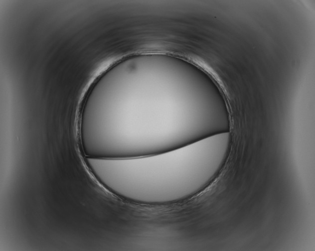 X0000086901477200704160935
