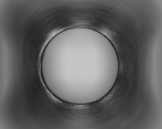 X0000086901478200704160935