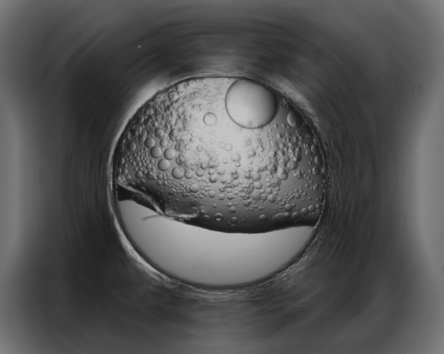 X0000086901479200704160935