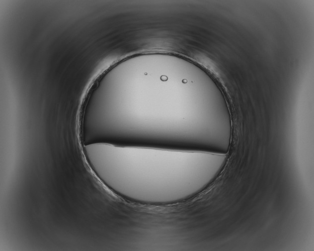 X0000086901480200704160935