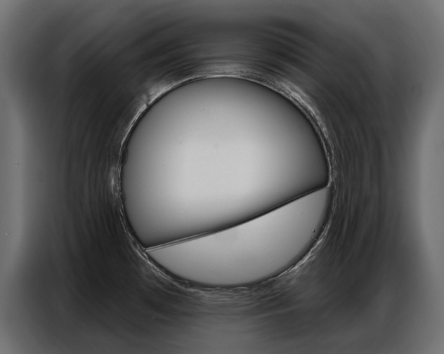 X0000086901481200704160935