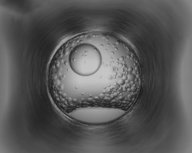 X0000086901483200704160935