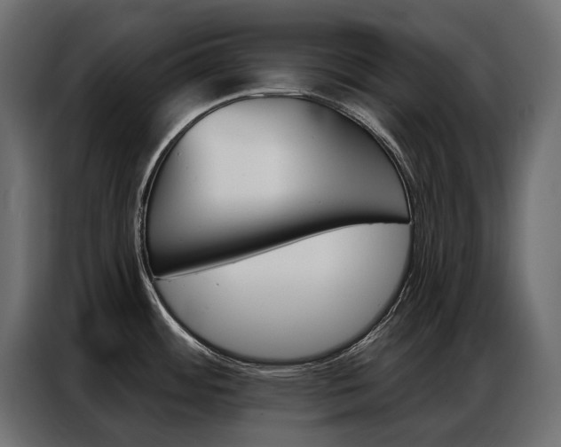 X0000086901484200704160935
