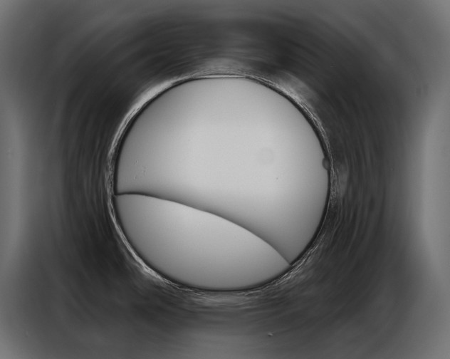 X0000086901486200704160935