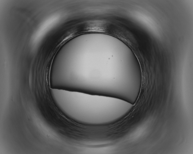 X0000086901487200704160935
