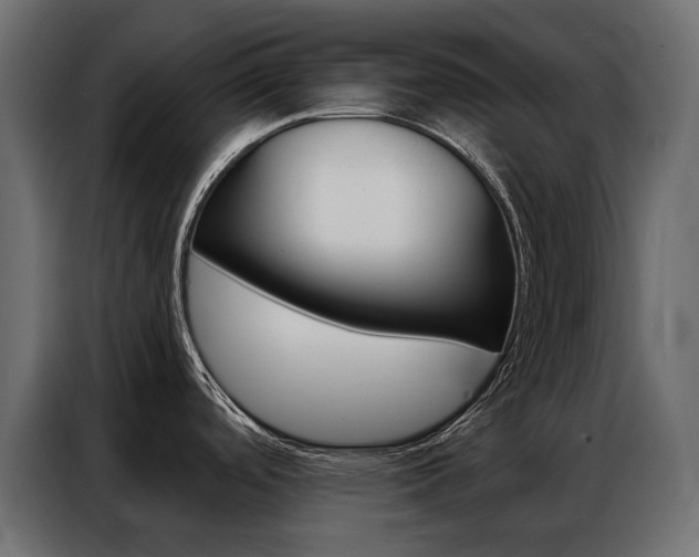 X0000086901488200704160935