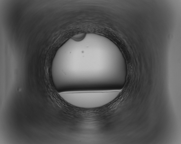X0000086901489200704160935