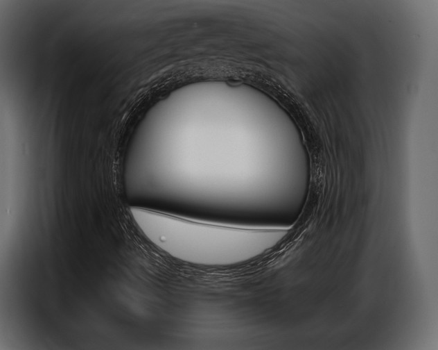 X0000086901490200704160935