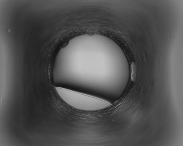 X0000086901491200704160935