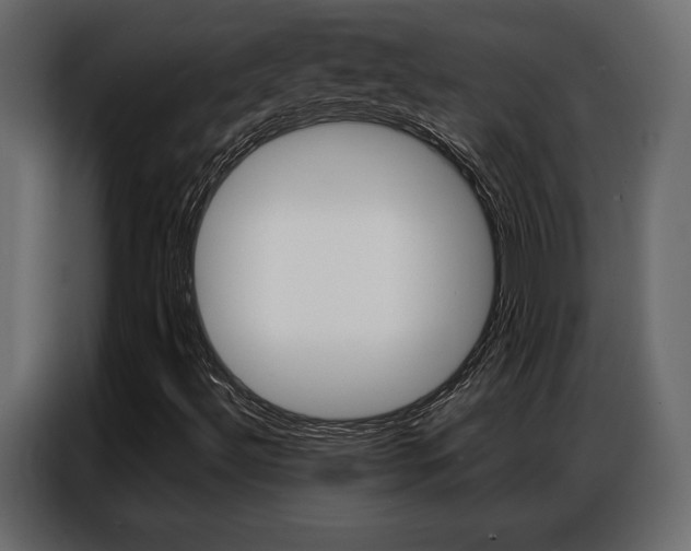 X0000086901492200704160935
