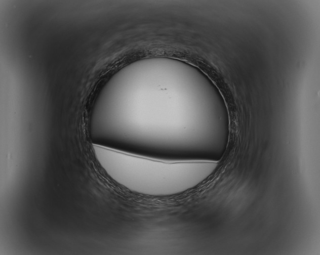 X0000086901493200704160935