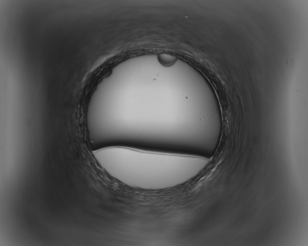 X0000086901494200704160935