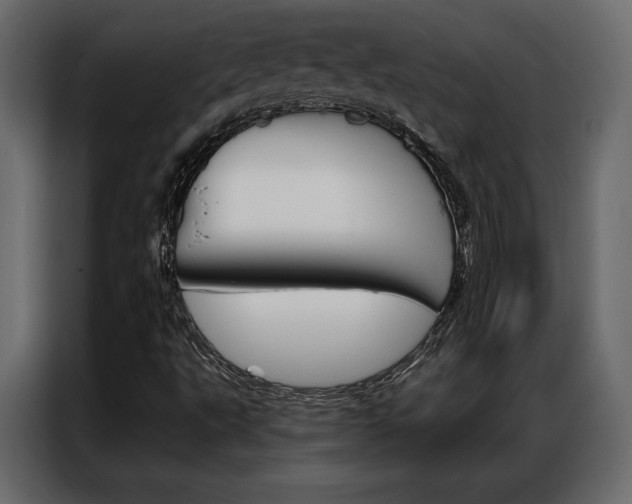 X0000086901495200704160935