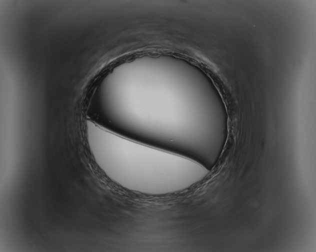 X0000086901496200704160935
