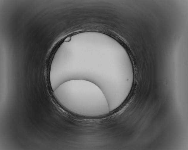 X0000086901498200704160935