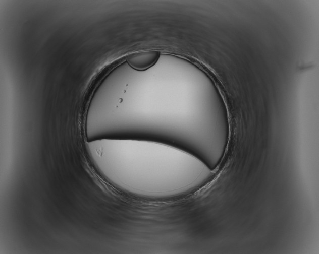 X0000086901499200704160935