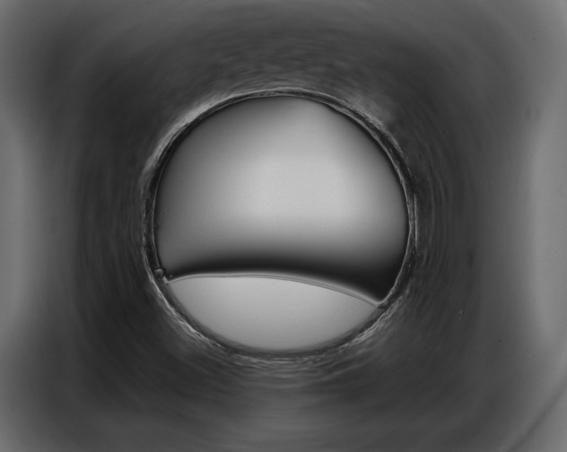 X0000086901500200704160935