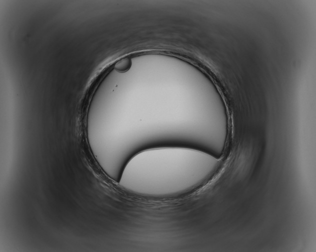 X0000086901501200704160935