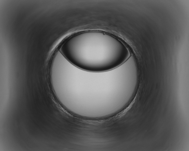 X0000086901502200704160935