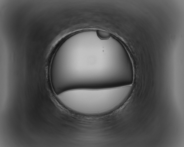 X0000086901503200704160935