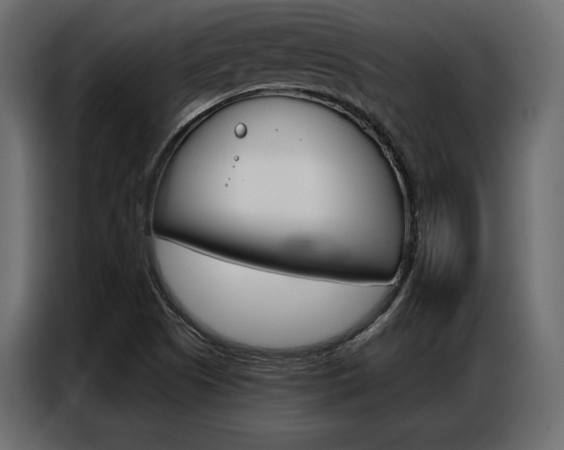 X0000086901505200704160935