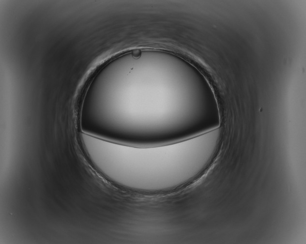 X0000086901506200704160935